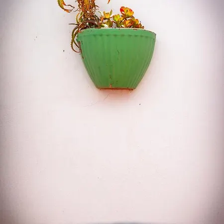 Simba Коральео