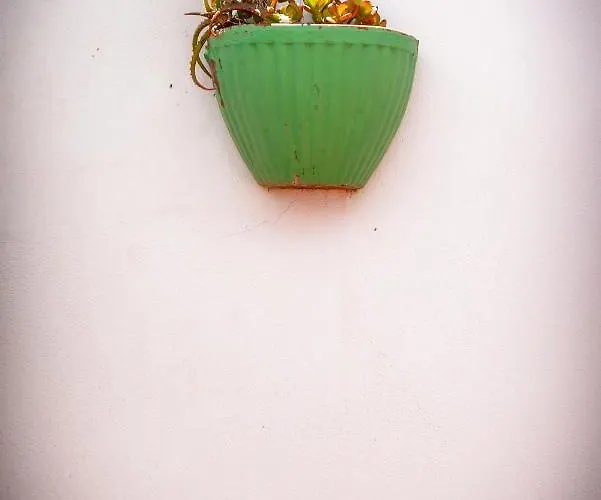 Simba كوراليهو